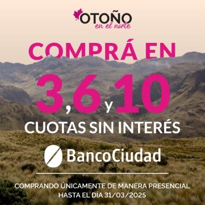 3 6 10 cuotas sin interes